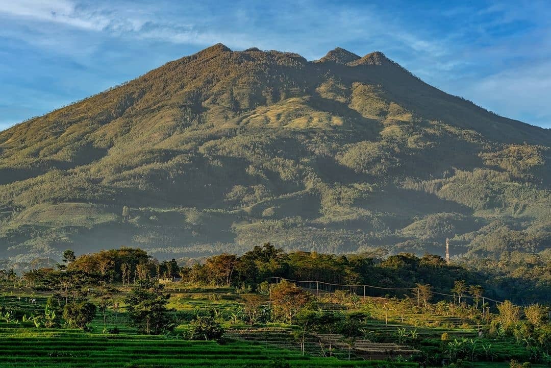 Selamat Datang di Website Desa Sidomulyo