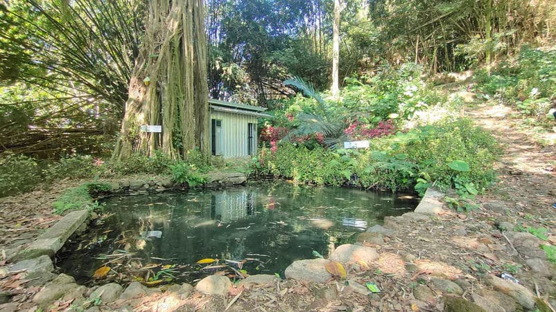 Potensi Desa Sidomulyo